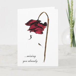 Vermisst Sie bereits Karte