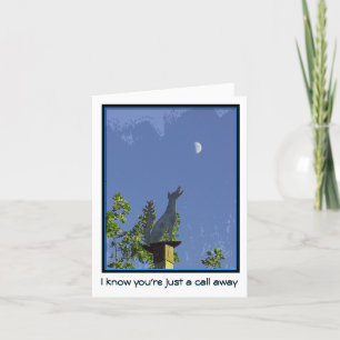 Vermisst Sie--Gerade ein Anruf weg--Kojote und Karte