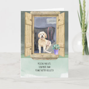 Vermisst Sie lieben Goldendoodle Dog Looking Windo Karte