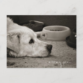 Vermisst Sie - Postkarte