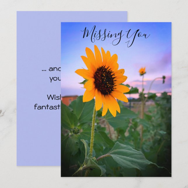 Vermisst Sonnenblumen im Foto nach Maß Karte (Vorne/Hinten)