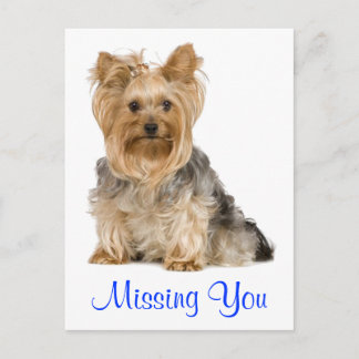 Vermisst You Yorkshire Terrier Puppy Dockcard Postkarte