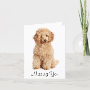 Vermisste Apricot Podle Welpen-Hundekarte Karte