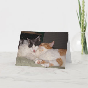 Vermisste Grußkarte meines Freundes Niedliche Katz Karte