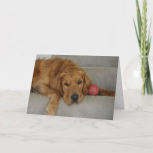 Vermisste Karte! Karte