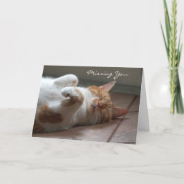 Vermisste Niedliche Katze Karte