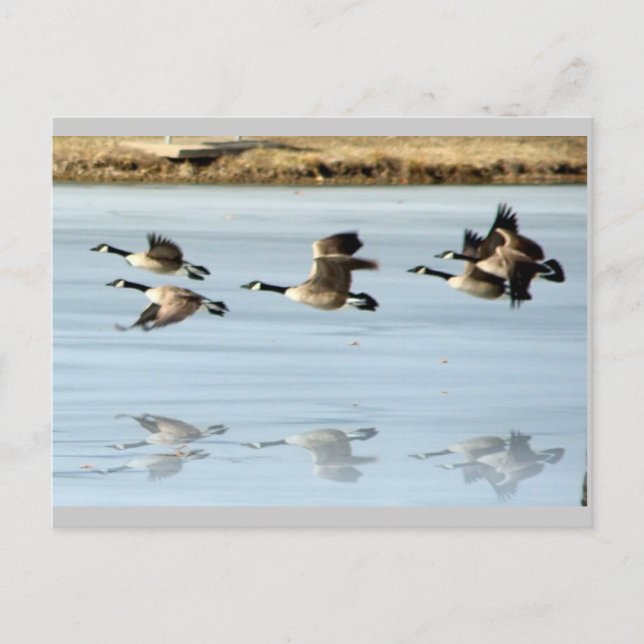 Vermisste Postkarte (Vorderseite)