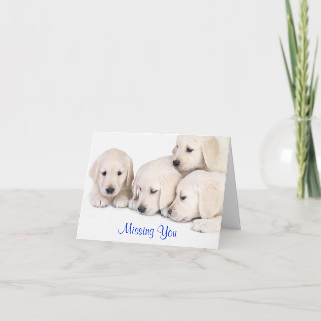 Vermisste Sie Labrador Retriever Puppenkarte Karte (Vorderseite)