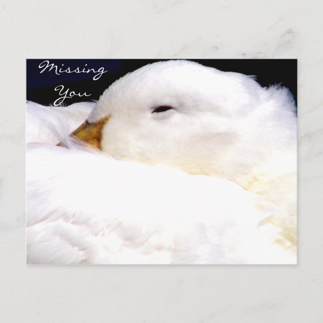 Vermisste Sie_ Postkarte (Vorderseite)