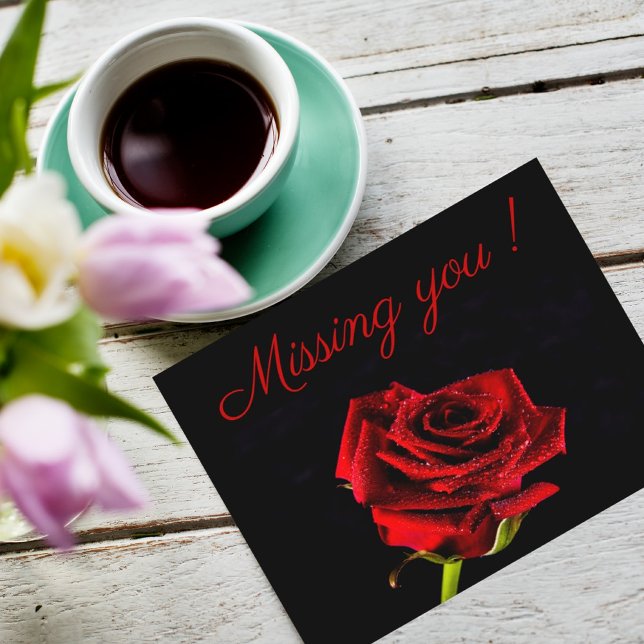 Vermisste Sie romantische rote Rose Foto personali Postkarte (Von Creator hochgeladen)