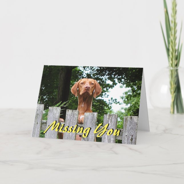 Vermisster Vizsla Hund "kardieren Sie" Karte (Vorderseite)