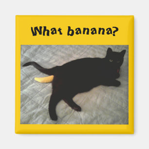 Vermisstes Bananenkatzenspielzeug Magnet
