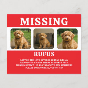 Vermisstes Haustier oder vermisste Person Personal Flyer