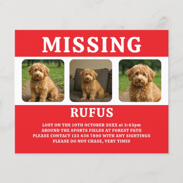 Vermisstes Haustier oder vermisste Person Personal Flyer (Vorne)