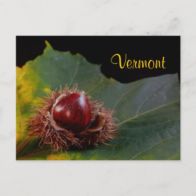 Vermont, Autumn Leaf mit Nut Postcard Postkarte (Vorderseite)