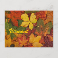 Vermont Autumn Leaves Postcard