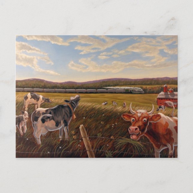Vermont Cow Postcard Postkarte (Vorderseite)