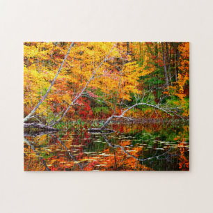 Vermont Fall