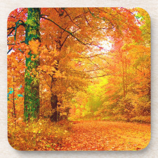 Vermont Herbstlandschaft Getränkeuntersetzer