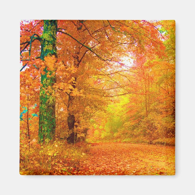 Vermont Herbstlandschaft Magnet (Vorne)