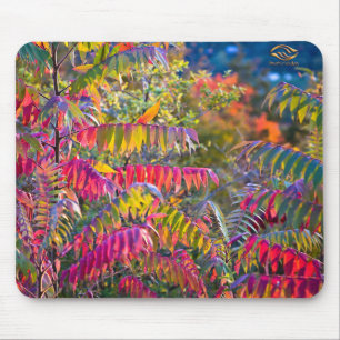 Vermont-Laub Mousepad