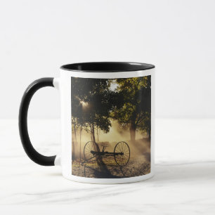 Vermont, Northeast Kingdom, Sonnenlicht fällt Tasse