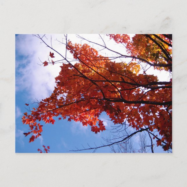 Vermont Postkarte 1 (Vorderseite)