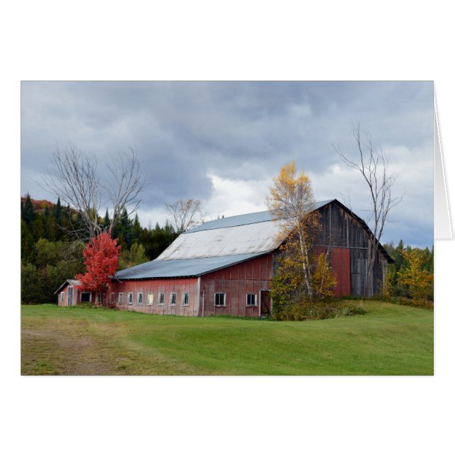 Vermont Red Barn im Herbst (Vorderseite (Horizontal))