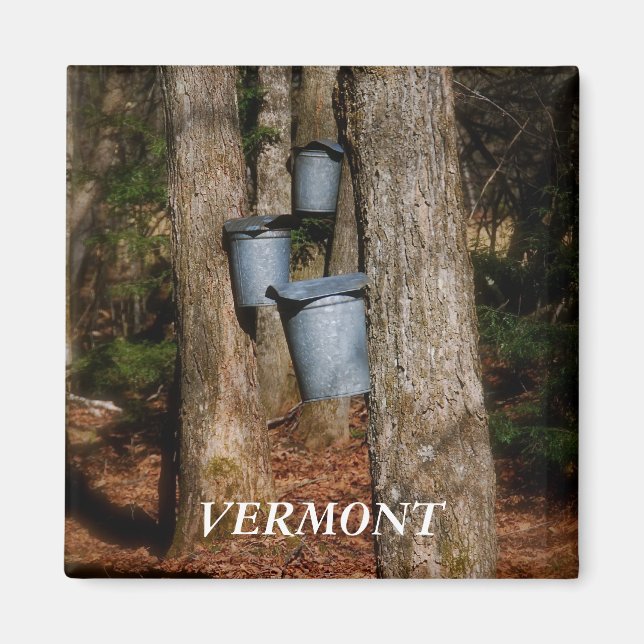 Vermont Sap Buckets Magnet (Vorne)