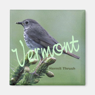 Vermont Staat Bird Hermit Thrush Kühlschrankmagnet