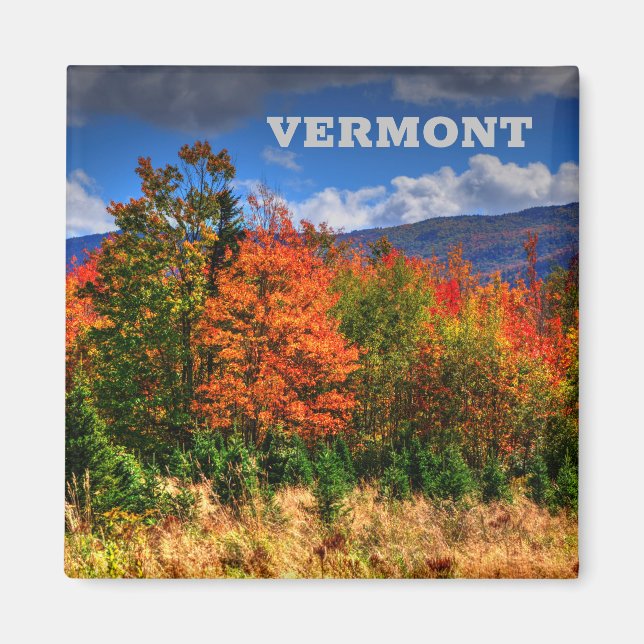 Vermont Travel Magnet montrant les changements de  (Devant)