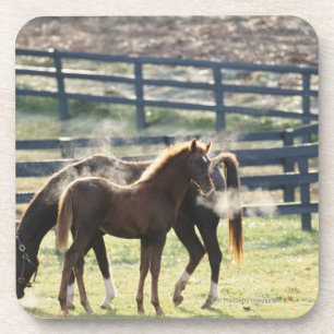 Vermont, USA Untersetzer