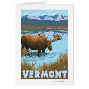 VermontMoose Drink im See