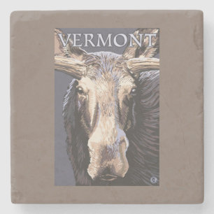 VermontMoose herauf nahes Steinuntersetzer