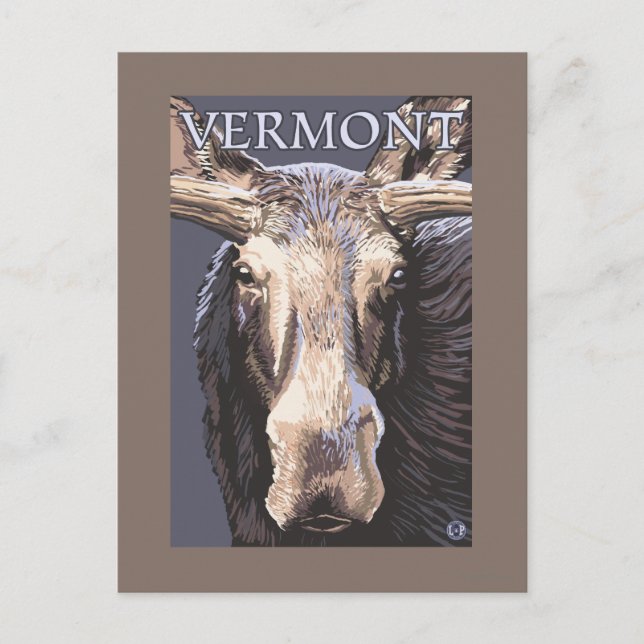 VermontMoose Up Nah Postkarte (Vorderseite)