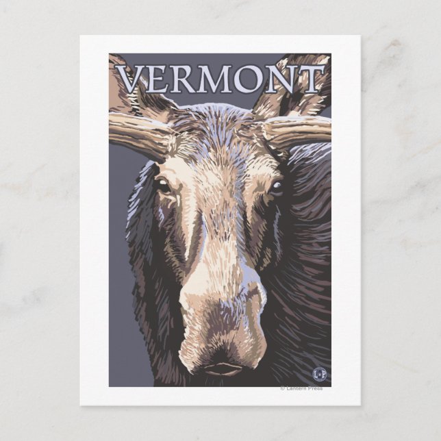 VermontMoose Up Nah Postkarte (Vorderseite)