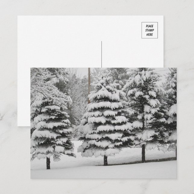 Vermonts Winterwunderland in B&W Postkarte (Vorne/Hinten)