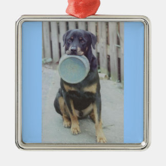 Vern Silbernes Ornament