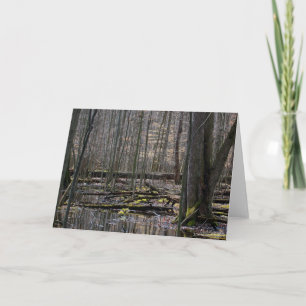 Vernal Pools 7 x 5 geklappte Grußkarte - leer Karte