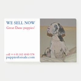 Veröffentlichte E-Mails Post-it Klebezettel