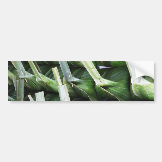 verpackte Bananenleaf-Packungen Autoaufkleber (Vorne)
