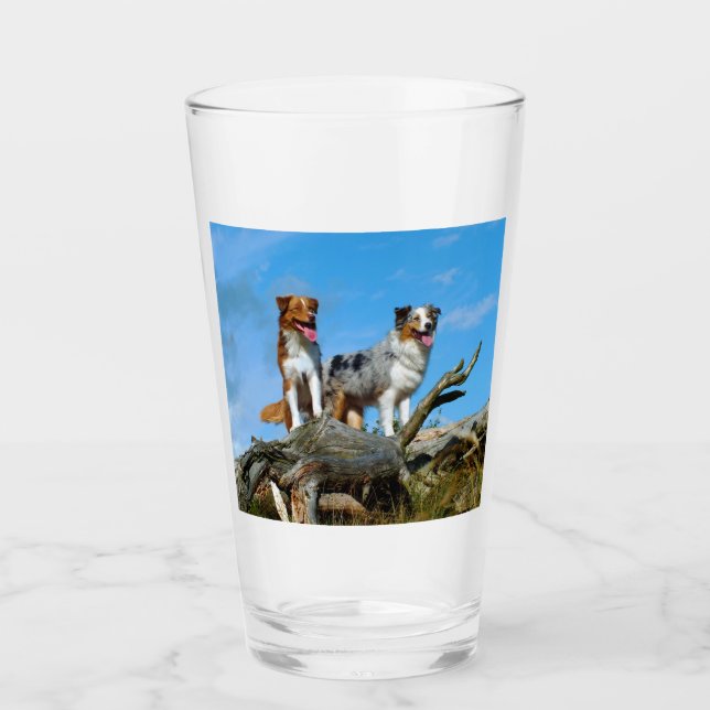 Verre 2 bergers australiens (Devant)