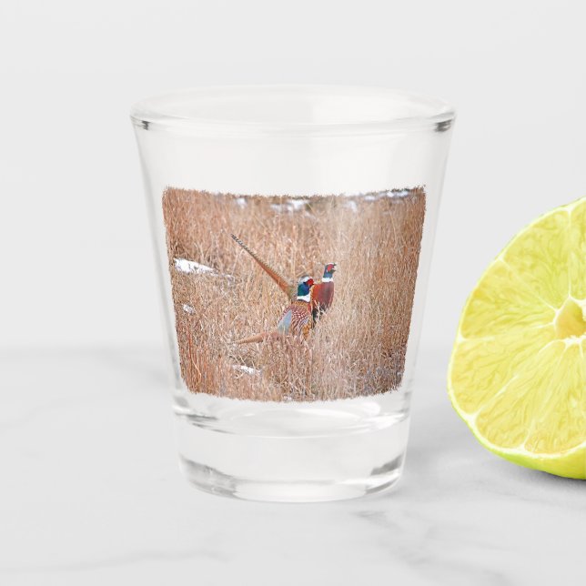 Verre à anneaux de faisan (Devant)