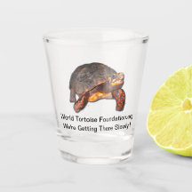 Verre à liqueur de tortue