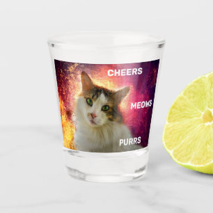 Verre A Shot Adorable Cute Calico Chat