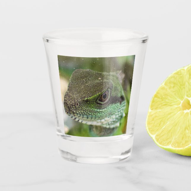 Verre A Shot Agama, lézard (Devant)
