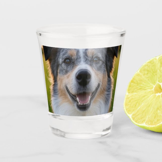 Verre A Shot Ajouter une Personnaliser photo pour animaux domes (Devant)