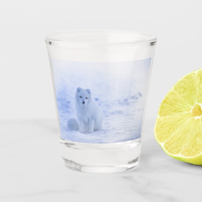 Verre A Shot Beau renard arctique (Devant)