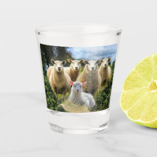 Verre A Shot Bébé agneau mouton troupeau troupeau troupeau