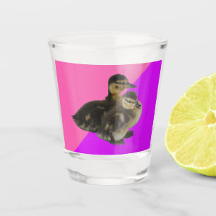 Verre A Shot Bébé Canards sur framboise rose et sorbet pourpre